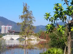 景点-飞来湖湿地公园