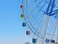 -上海佘山国家森林公园天马山园