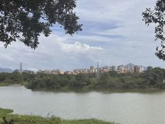 -风云岭森林公园