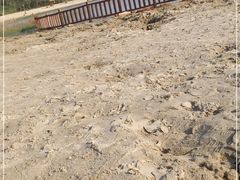 -九龙湖公园