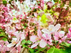 -元大都城垣遗址公园