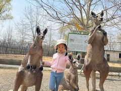 -秦皇岛野生动物园