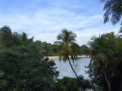 -巴拉湾海滩