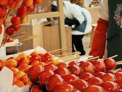 -中国天府农业博览园