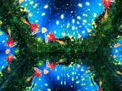 -深圳独角兽星空艺术馆