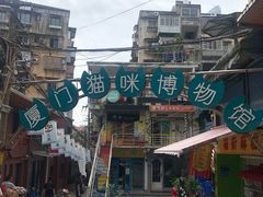 -猫咪博物馆(顶澳仔猫街店)