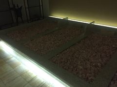 -热带雨林汗蒸馆(汶水东路店)
