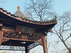 -重庆彩云湖湿地公园
