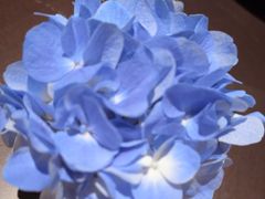 -领事馆19号中餐厅(厦门海景洲际酒店)