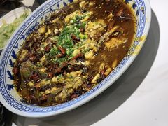 -新概念来凤鱼(璧山店)