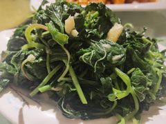 -华盛园卷子王农家菜水库鱼