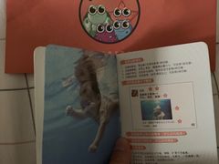 -蓝旗亲子游泳(贵阳中心店)