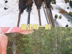 -贰醒·私房小院烧烤 (太古里店)