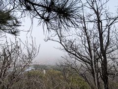 -北京西山国家森林公园