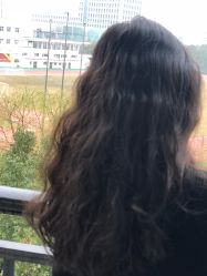 -Y-STUDIO原理