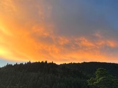 -武陵山森林公园