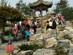 -武清南湖绿博园