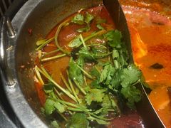 -季季红火锅(长沙步行街店)