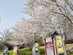 -红星国际广场