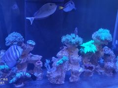 -网鱼网咖·电竞(中山友好广场店)