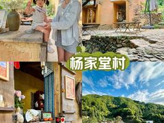 -杨家堂村