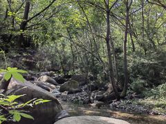 -云岫谷游猎自然风景区