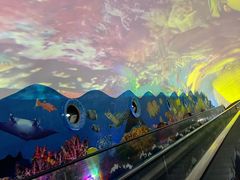 -成都浩海立方海洋公园