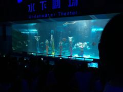 -泉城欧乐堡海洋极地世界