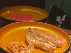 -牛New寿喜烧(金茂览秀城店)