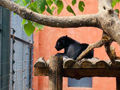 -济南野生动物世界