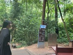 -青城山