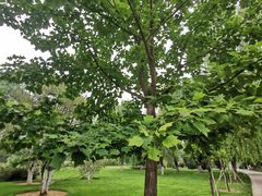 -中华世纪坛-停车场