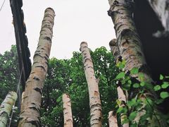 -Metal hands·铁手咖啡