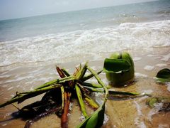 -海棠湾洲际-涛·海底餐厅·美人鱼·自助餐·海底隧道