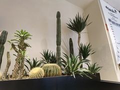 -J Create城市露营咖啡·简餐·宠物(上海动物园店)