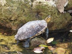 -宁波市保国寺古建筑博物馆