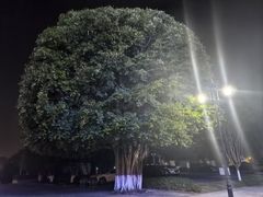 -重庆悦来温德姆酒店
