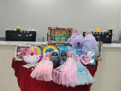 -舞蕾舞蹈(特长生校区)