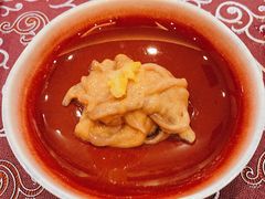 -九献创意菜(亮马河花园店)
