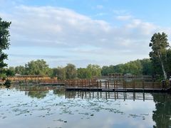 -大湾区中央湿地公园