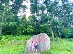 -五营红松林海景区