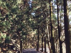 -南岳衡山风景名胜区