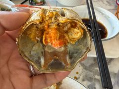 -蟹天蟹地农家菜·阳澄湖大闸蟹(浅水湾店)