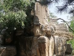 -团结湖公园