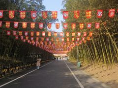 -都江堰中华大熊猫苑