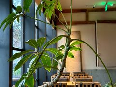 -元古雲境(南京万象天地店)