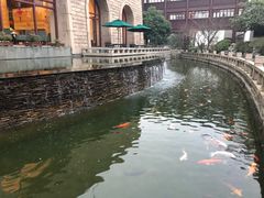 -苏州吴宫泛太平洋酒店