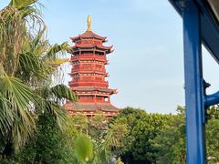 -厦门园林博览苑