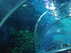 -石家庄海洋公园