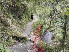 -太鲁阁公园